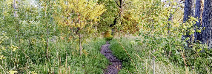dieUmweltDruckerei forciert aktiv die Müllvermeidung dieUmweltDruckerei forciert aktiv die Müllvermeidung