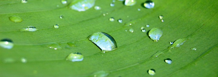 dieUmweltDruckerei reduziert den Gebrauch von Chemikalien und Lösungsmitteln beim Druckprozess