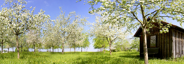 Soziale Standards Soziale Standards