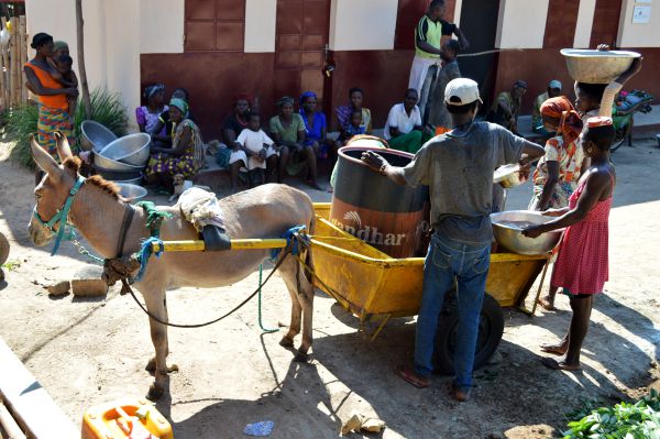 Esel befördert Wasser in Togo