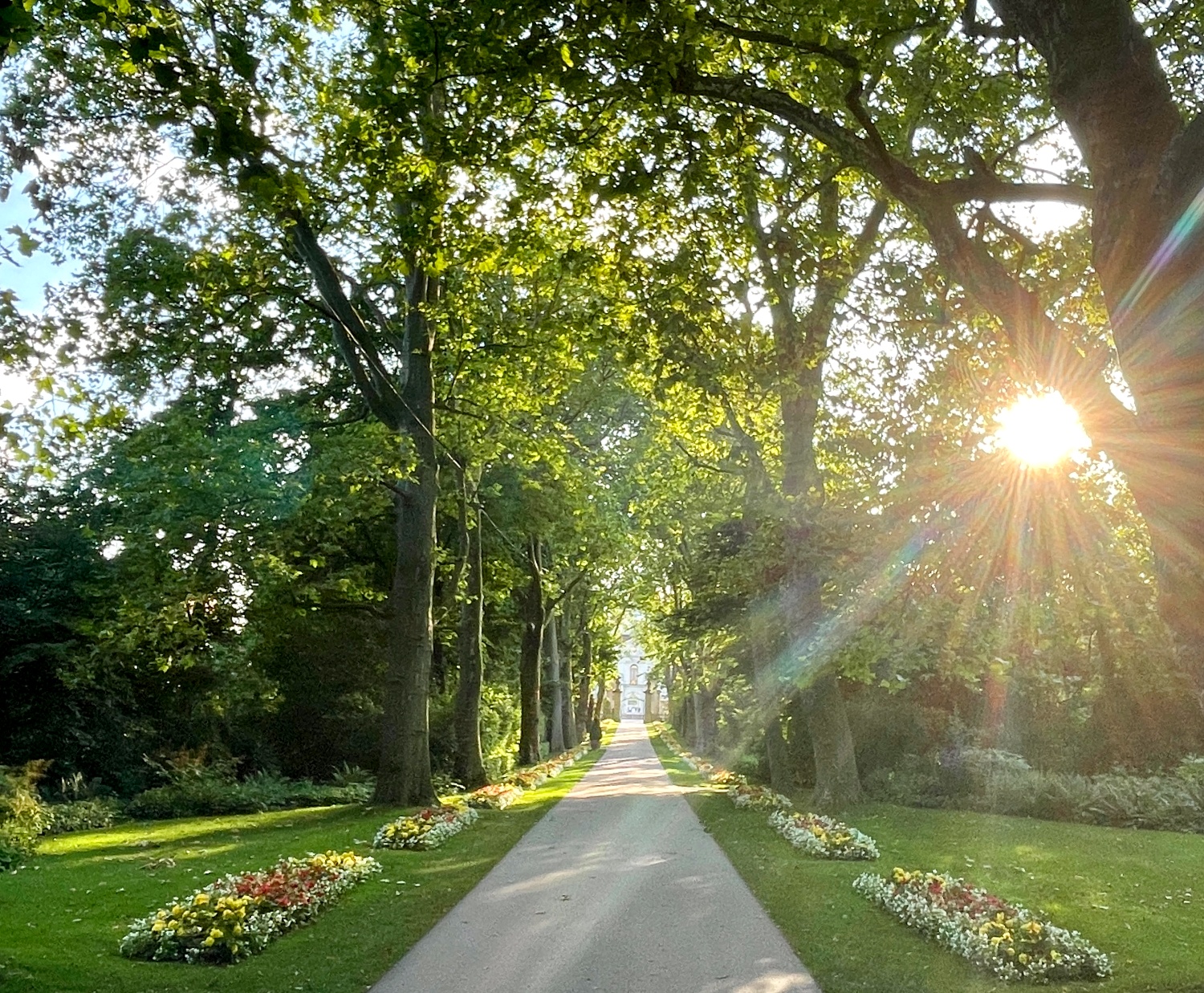 Allee im Schlossgarten in Ludwigsburg