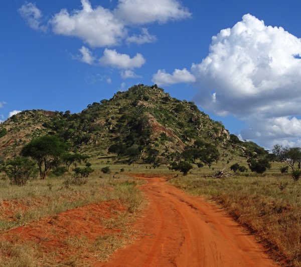 Unsere Elefantenwaise Maktao wird in einigen Jahren wieder im Tsavo East-Nationalpark ausgewildert. Nur ein Grund, um den knapp zwölftausend Quadratkilometer großen Park einen Besuch abzustatten. Zum Größenvergleich: Berlin hat gerade einmal eine Gesamtfläche von knapp 892 Quadratkilometern.