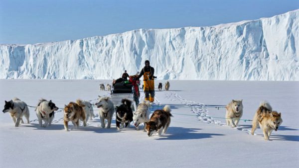 Arved Fuchs unterwegs mit dem Hundeschlitten - Das ewige Eis ist vom Klimawandel gefährdet.