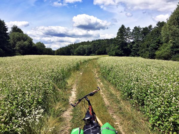 Radfahren