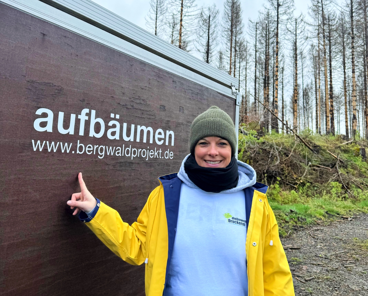 Aufbäumen im Harz