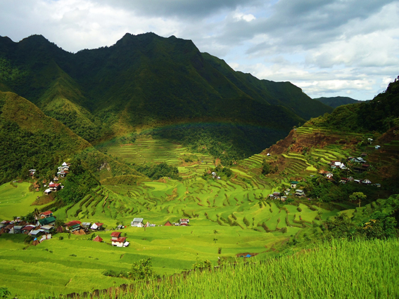 Wiki Loves Monuments - Reis Terrassen in Batad