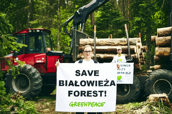 Spenden für den Waldschutz