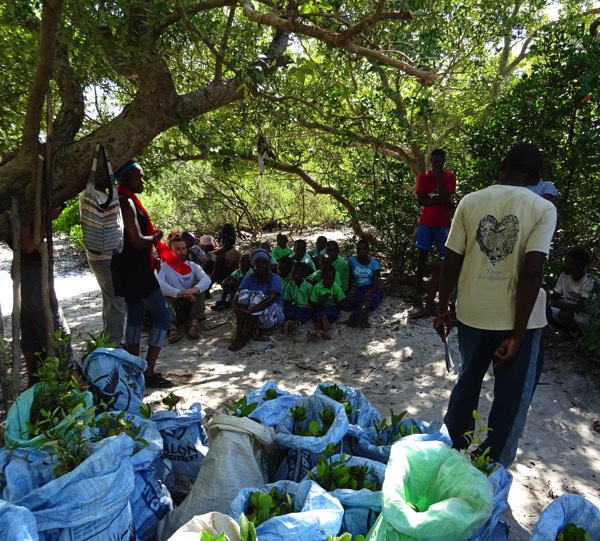 Am kommenden Tag bekommen die vielen freiwilligen Helfer*innen aus der Umgebung eine Einweisung, wie und wo die Mangroven-Setzlinge zu pflanzen sind. Auch eine ortsansässige Schulklasse möchte helfen.