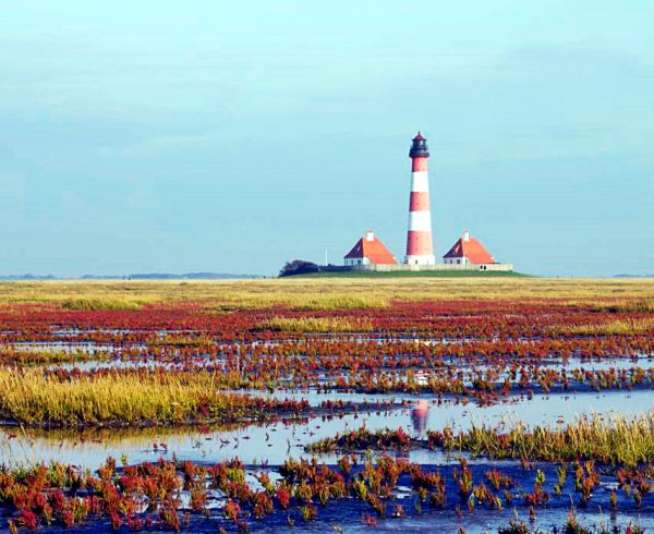 Salzwiesen und Leuchtturm