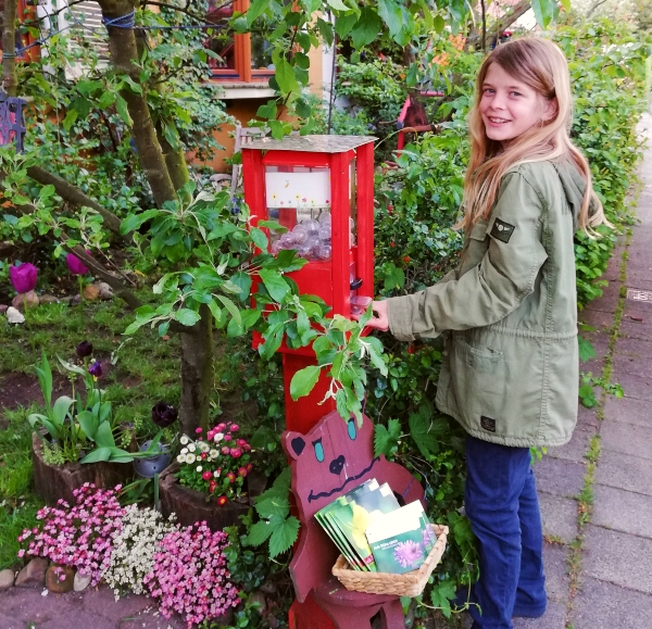 Insektenschutz durch Wildblumen