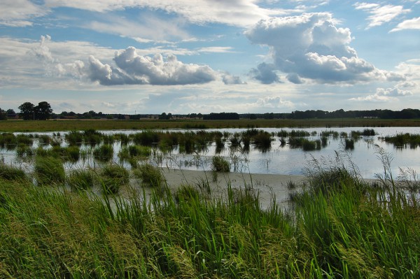 Das aktuelle MoorFutures-Projekt "Polder Kieve" in Mecklenburg-Vorpommern