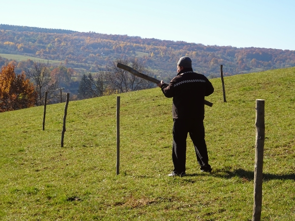 Aufbau eines Weidezauns in Rumänien - Pfähle