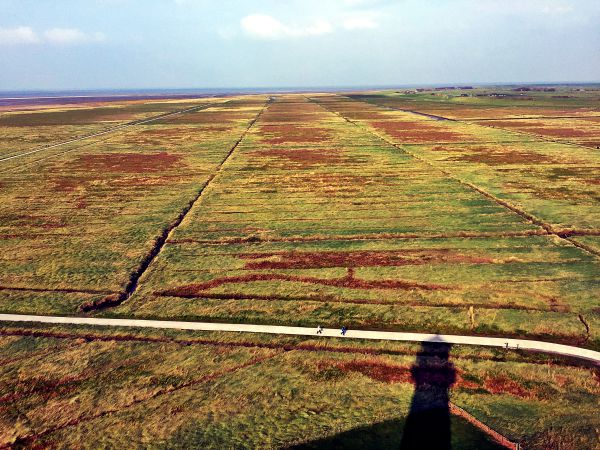 Wattenmeer und Salzwiesen