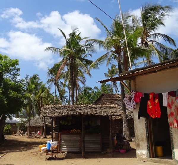 Viele kleine Stände säumen die Straßen Watamus. Die Kenyaner*innen nennen die Arbeitsform 'Jua Kali' (Kiswahili für: 'unter der heissen Sonne'). Ökonomen sprechen vom informellen Sektor; also wirtschaftliche Tätigkeiten, die nicht in der offiziellen Statistik erfasst werden.