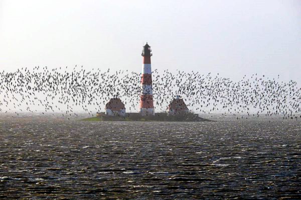 Leuchtturm bei Flut