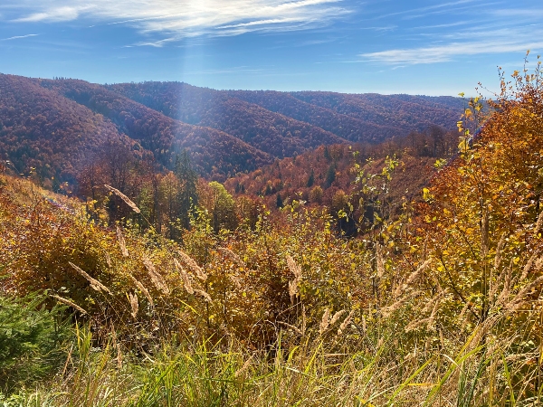 Transsilvanien - Landschaft - Karpaten