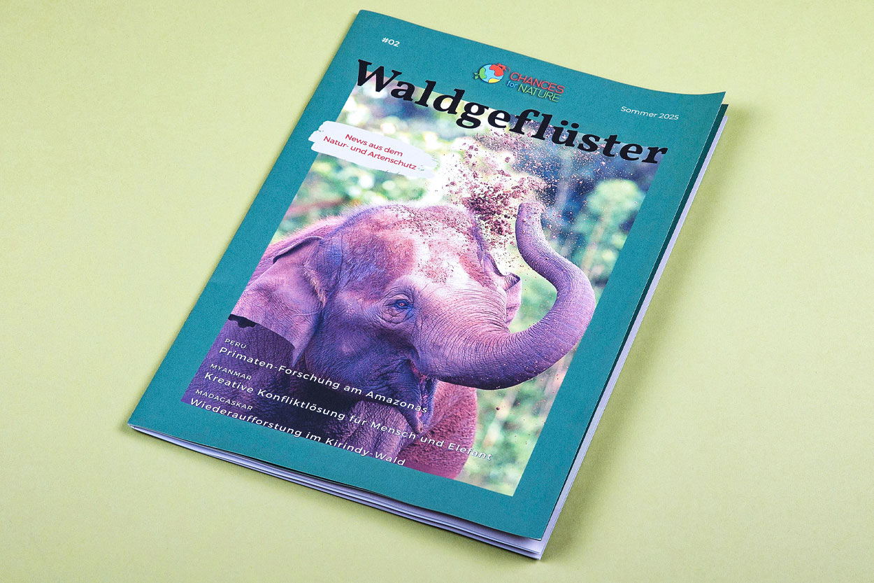 Waldgefluester