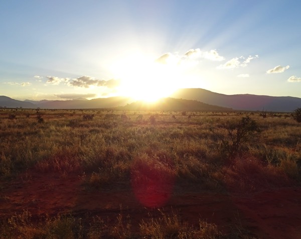 Ein unglaubliches Safari-Wochenende mit traumhaften Eindrücken der Tierwelt Kenias endet mit einem majestätischen Sonnenuntergang über der Graslandschaft des Tsavo East.