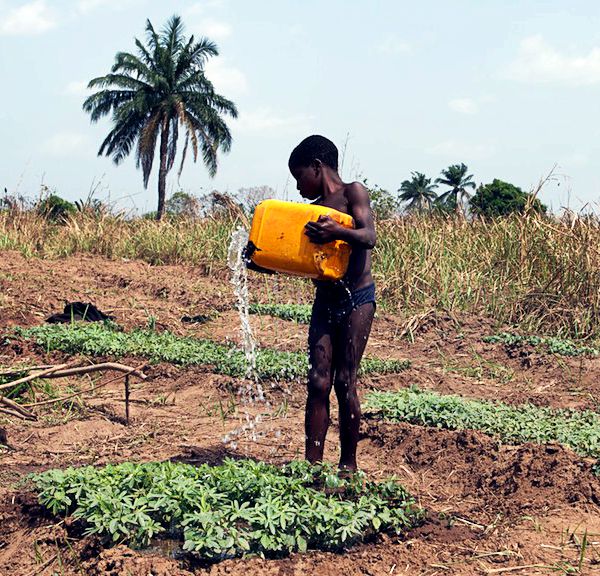 Kind beim Pflanzen gießen in Togo