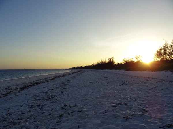 Ein langer Tag neigt sich dem Ende zu. Mit gemischten Gefühlen verlassen wir den Strand. Einige Jungtiere konnten wir retten, viele andere nicht. Morgen haben wir vielleicht mehr Glück.