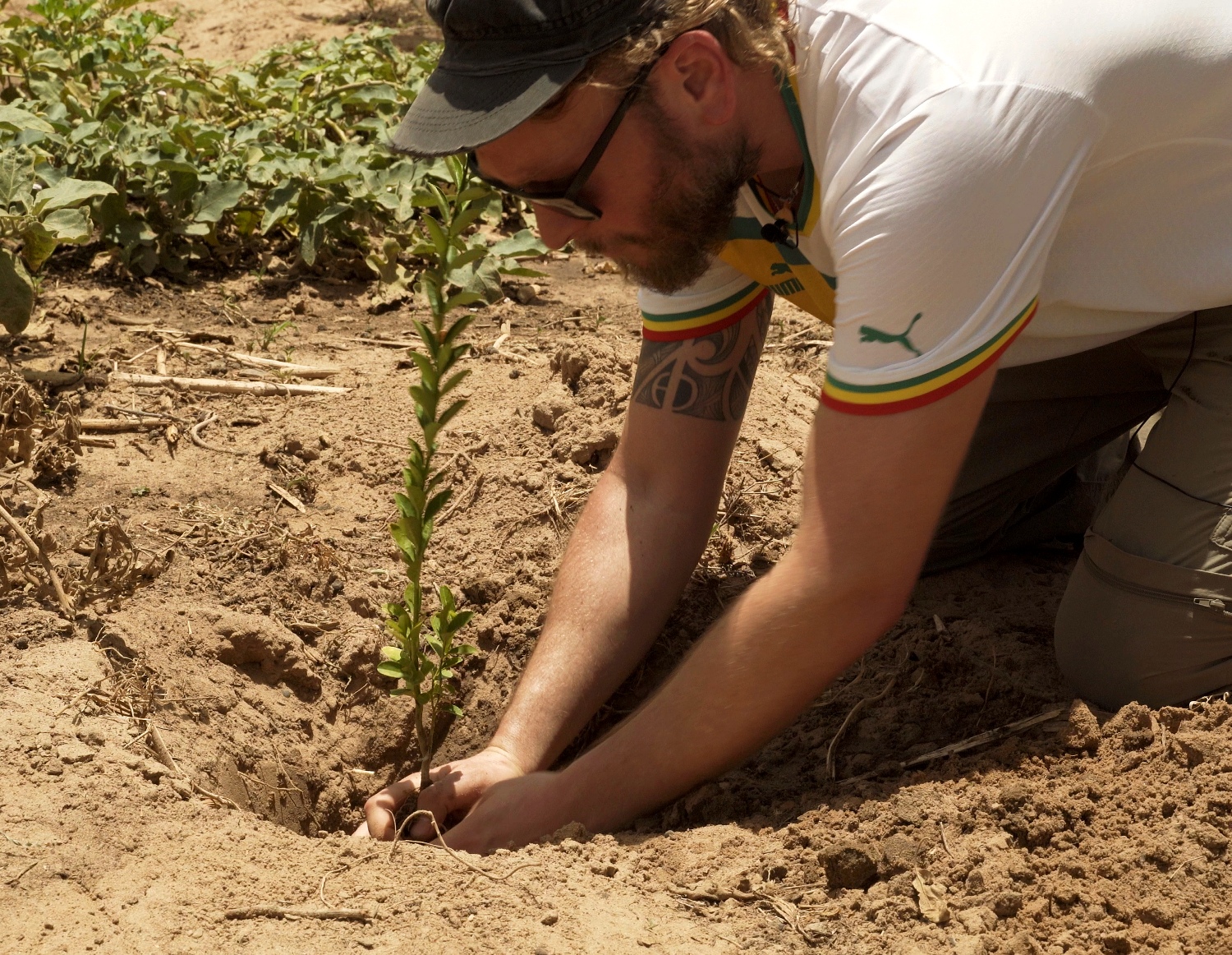 Bäume pflanzen im Senegal.