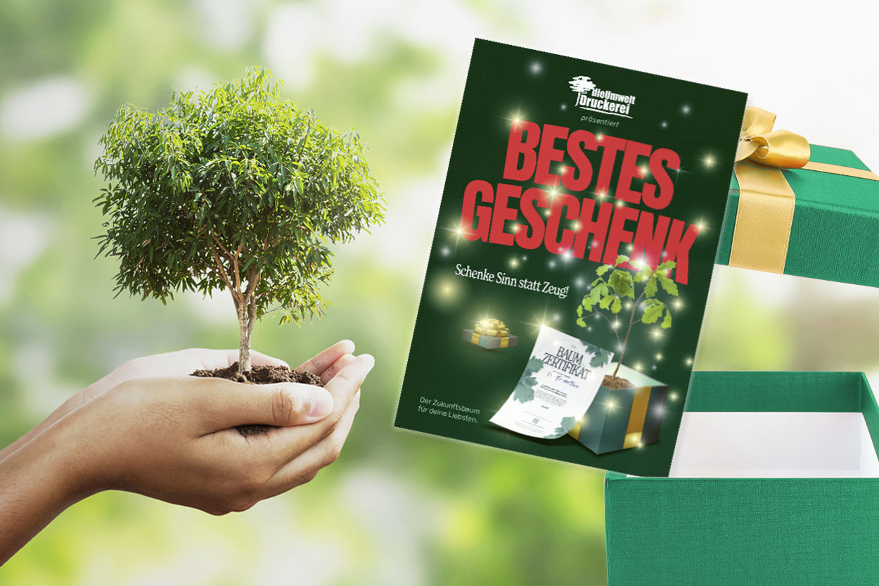 zukunftsbaum_treeplantingprojects-weihnachten